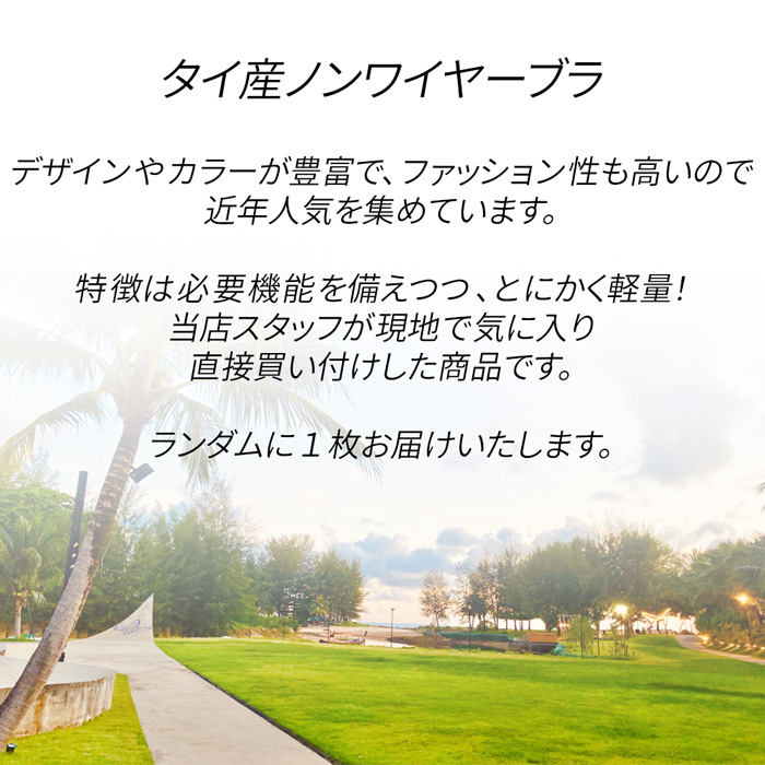 【今注目のタイ産ブラジャー】 おまかせ福袋で1枚お届け!