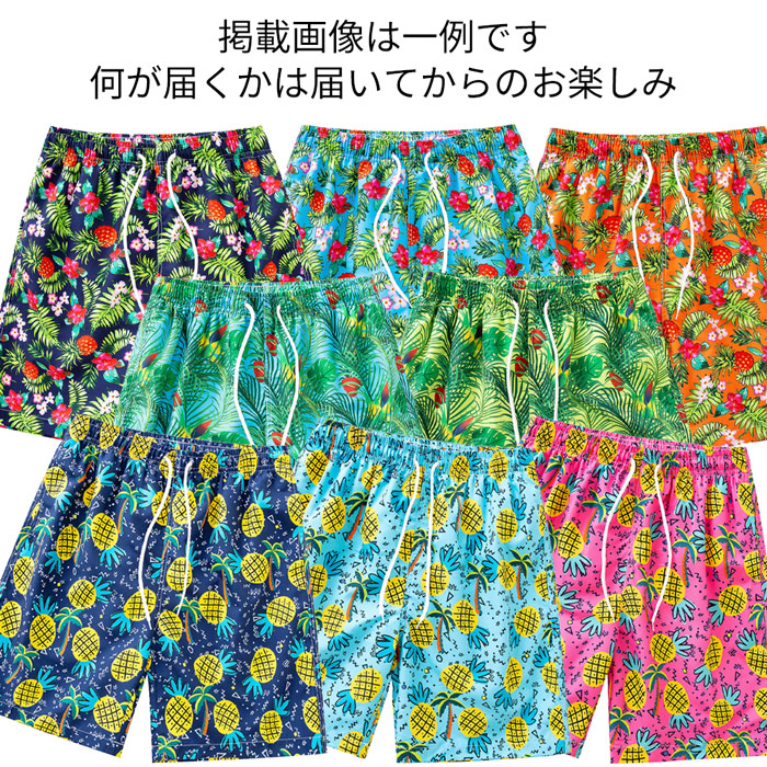 【送料無料】何が届くかお楽しみ メンズサーフパンツ福袋