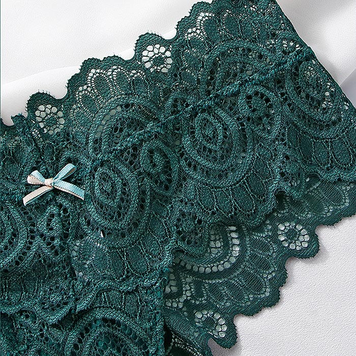 総レースセクシーブラジリアンショーツ