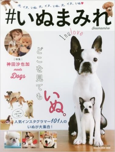 雑誌掲載 クッションカバー 45×45 ドギーコレクション アニマル 犬雑貨 おしゃれ かわいい