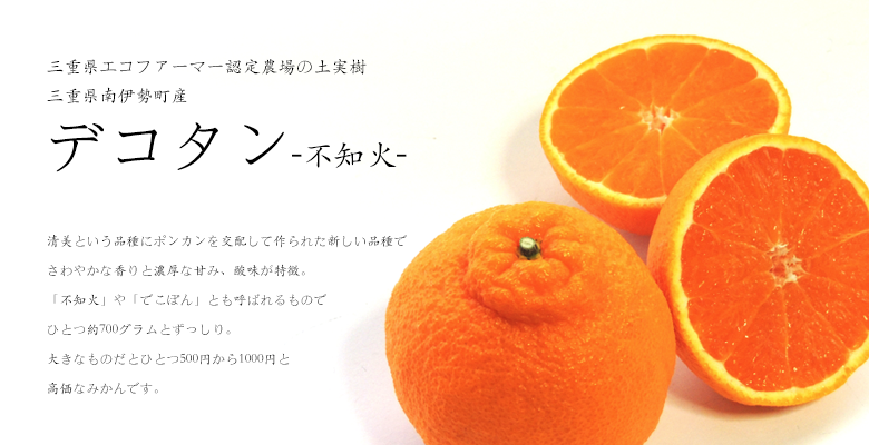 でこたんようかん　土実樹