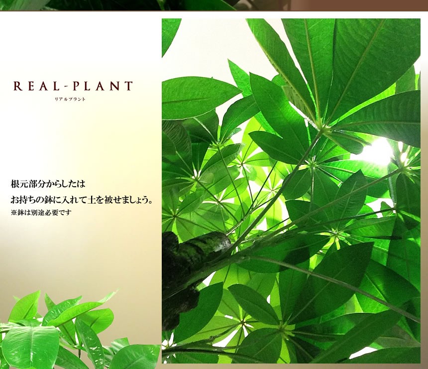 観葉植物 造花 リアルプラント03 大型 人工 部屋 リアル New売り切れる前に 緑 おしゃれ Fc 170 フェイクグリーン 会社 インテリア