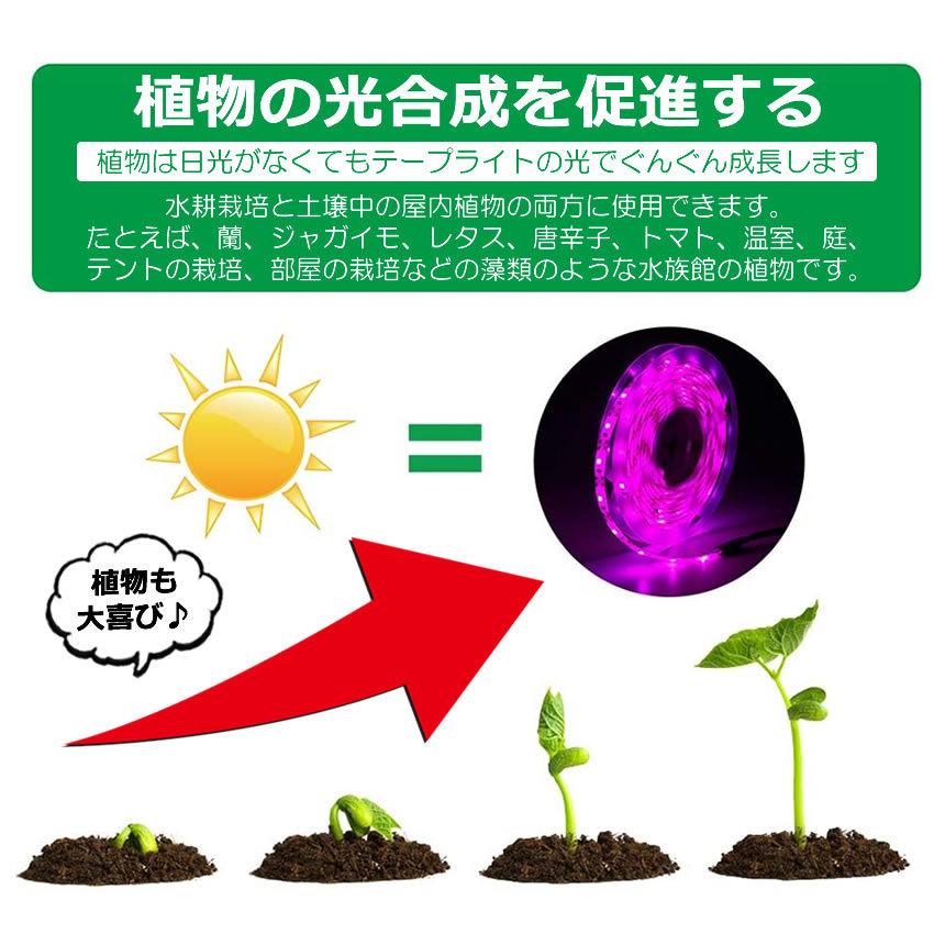 5個セット 植物育成ライト 5m LED植物用 LEDテープライト 植物成長促進 光合成 促進 防水 USB対応 LEDテープ 植物育成ランプ 家庭菜園 室内園芸 野菜 SODATU｜kasimaw｜04