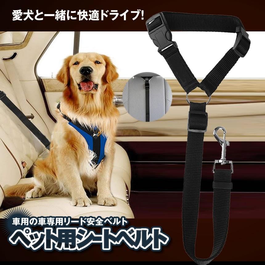 ペット用　シートベルト　赤　車　ドライブ　犬用　猫用　リード　ゲージ　安心
