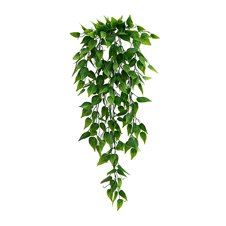 フェイクグリーン 5個セット 観葉植物 リーフ モンステラ 壁掛け 人工