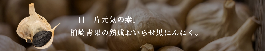 タイトル画像