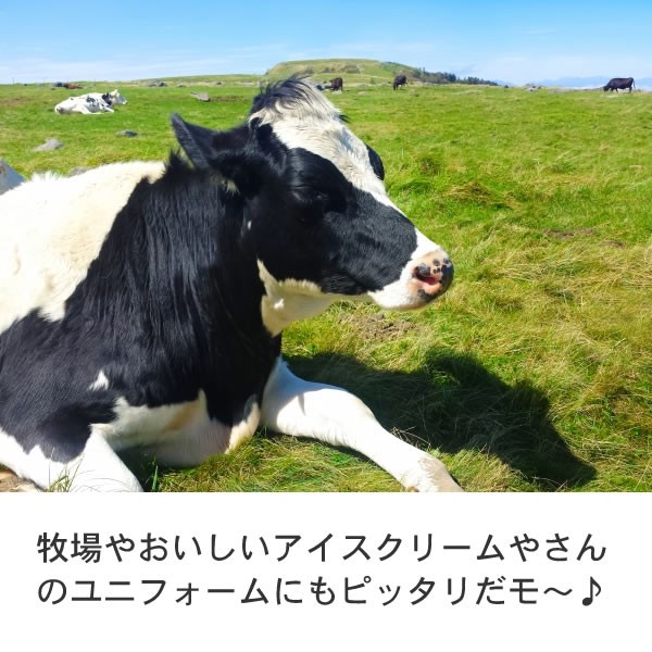 牛 グッズ Tシャツ ウシ おもしろ オリジナル 雑貨 メンズ レディース 牛柄 乳牛 S M L Xl 3l 4l プリント 服 男性 女性 カラー 可愛い おしゃれ 面白い Ushi T お祭りコム Tシャツ 無地 プリント 通販