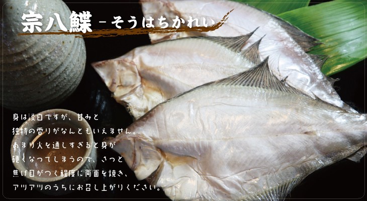 宗八鰈-ソウハチガレイ-