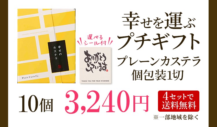 引っ越し 挨拶 品物 お菓子 引っ越し挨拶品 引越し挨拶 粗品 プチギフト ギフト 手土産 お礼 のし 長崎 カステラ 個包装 TK20 柔らかい