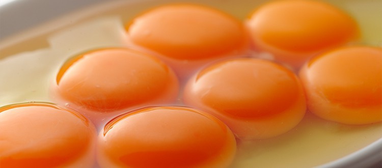 健康な卵を使用