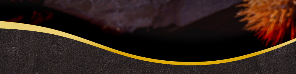 和栗のバスクモンブラン