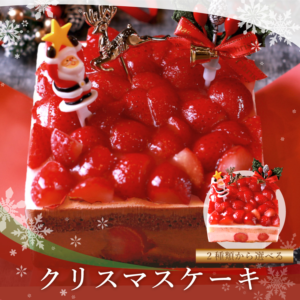 morin（食品） クリスマスケーキ 2024 予約 4号 2人用 〜4人用