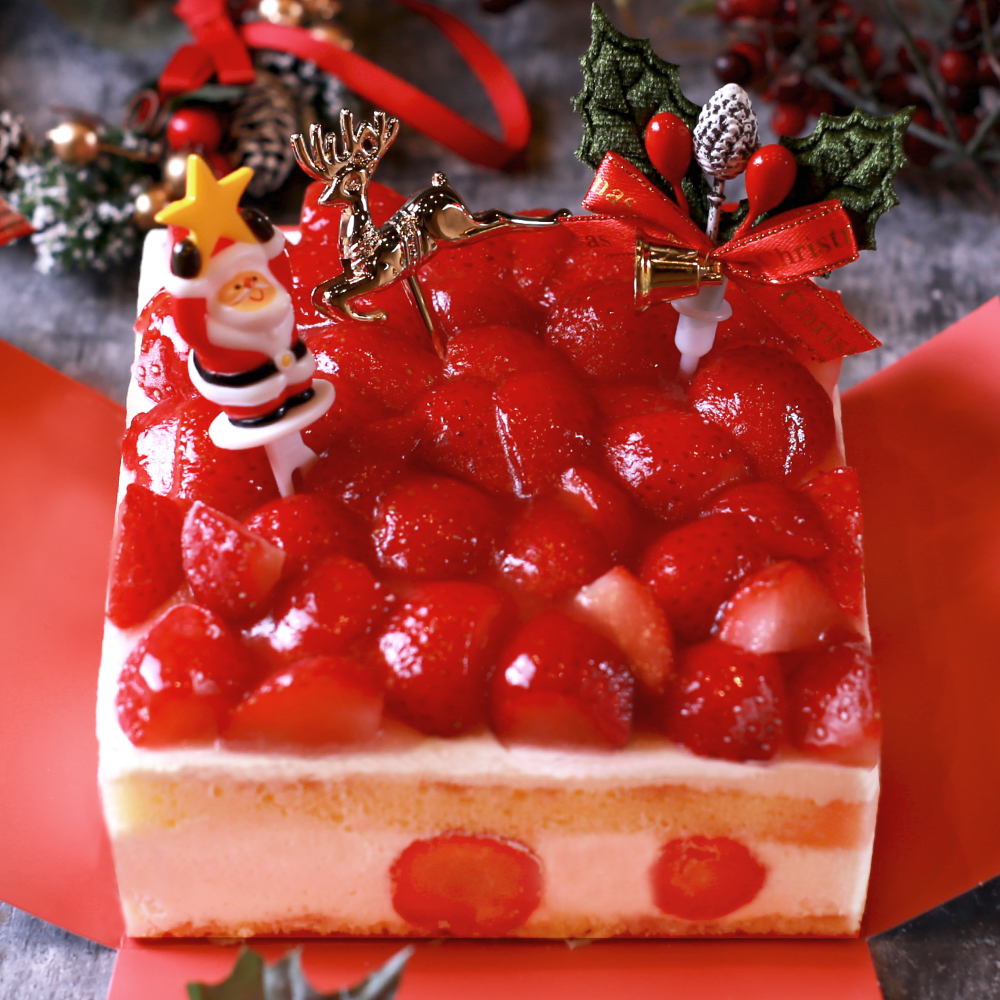 morin（食品） 早割 クリスマスケーキ 2025 予約 4号 2人用 〜4人用
