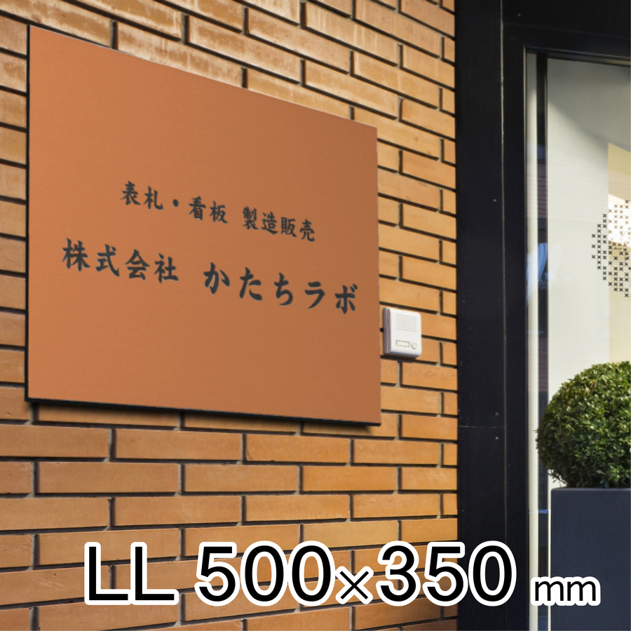 10000435.jpg