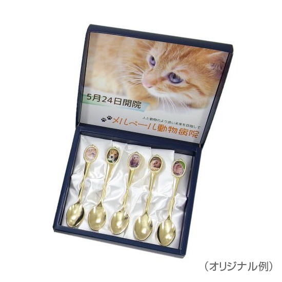 記念品 オリジナル 名入れ｜オリジナルスプーン5本（金メッキ仕上