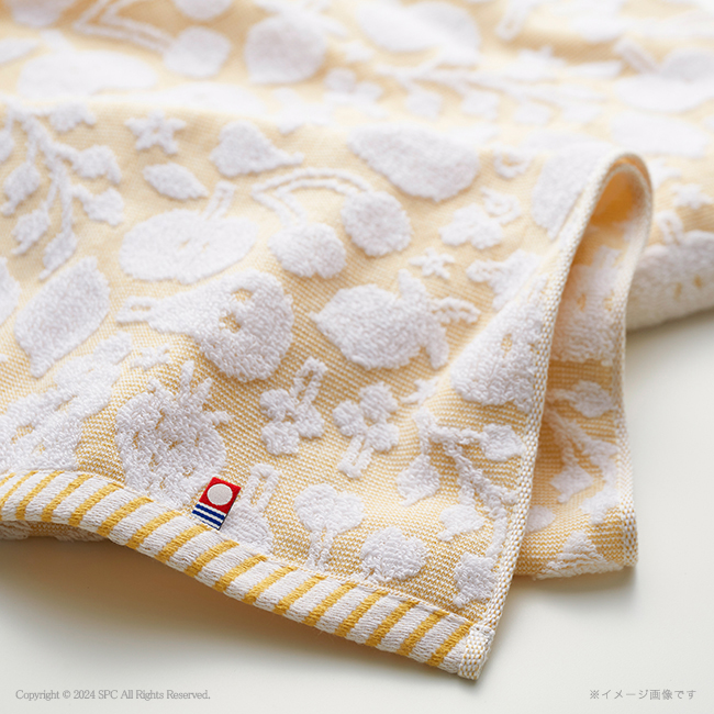 HANA タオル　新品未開封 ゼクスイース