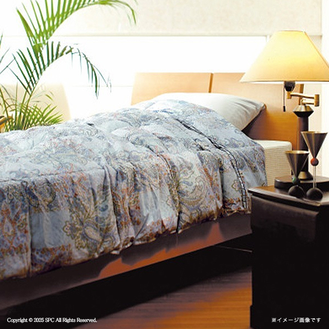 VALENTINO 掛け布団（寝具サイズ：シングル）｜布団｜布団、寝具｜家具