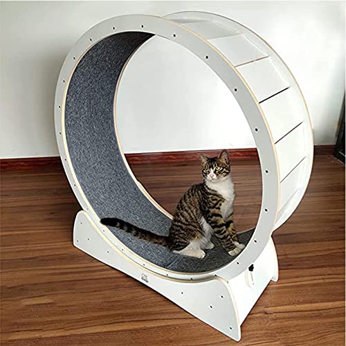 猫 ランニングホイール キャッホイール キャットランニングホイール 低騒音 大型 無垢材 猫ランニン...