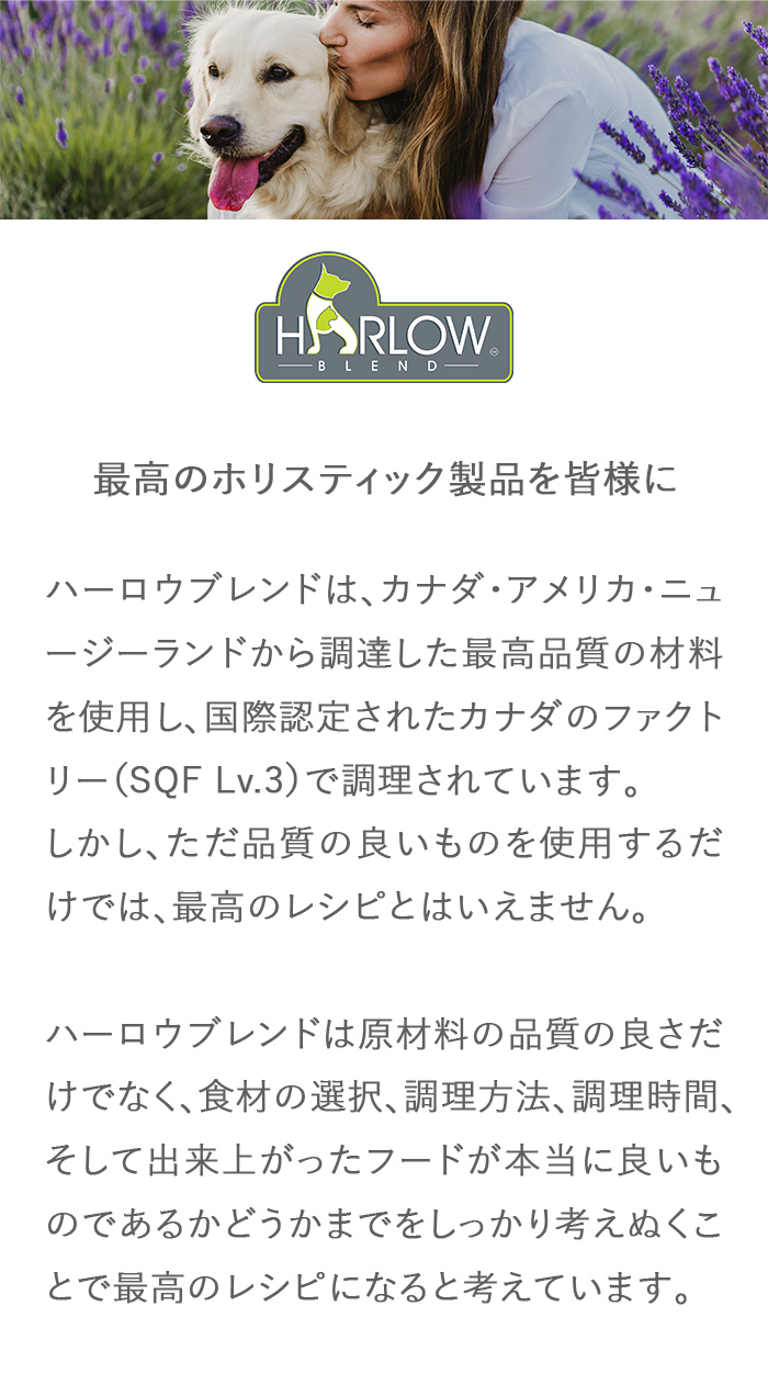 最高のホリスティック製品を皆様に