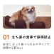 OneAid リラクッション DM | 老犬のための介護用クッションベッド 床ずれ予防に 関連画像3