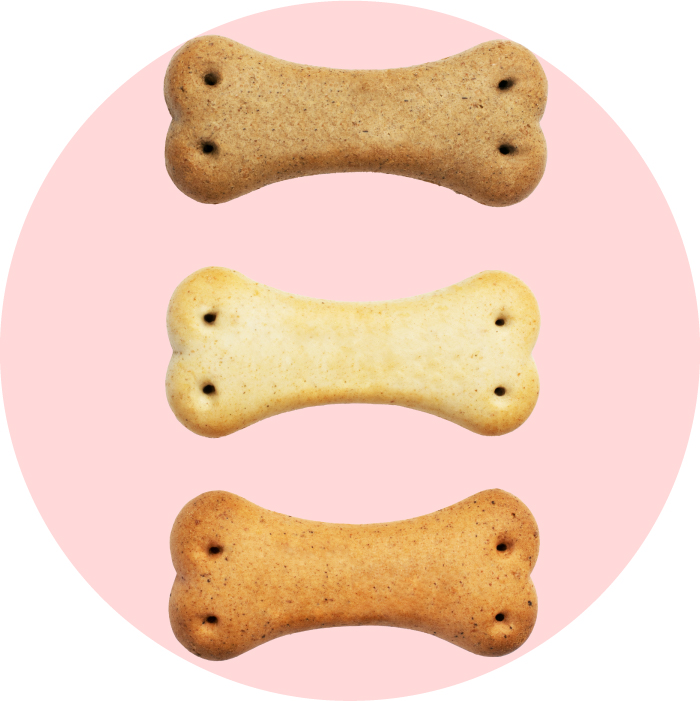 ペット用自然派おやつ