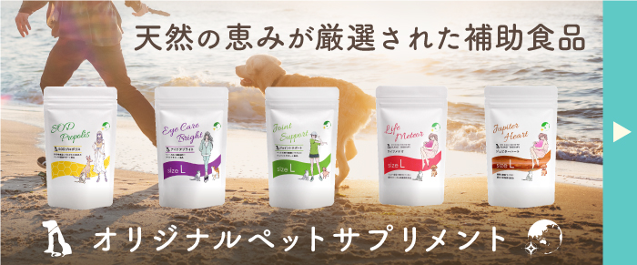 オリジナルサプリメントカテゴリーページへのリンク