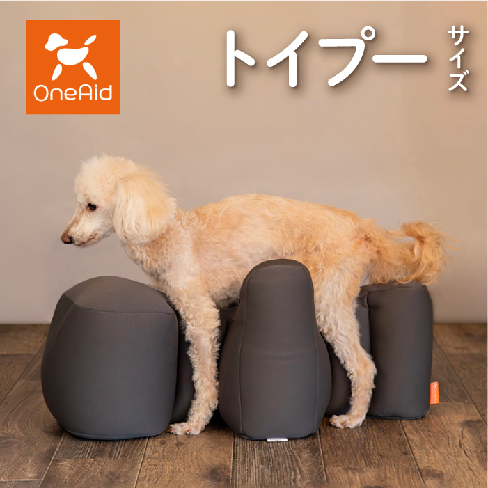 OneAid リラクッション トイプードル | 老犬のための介護用クッション