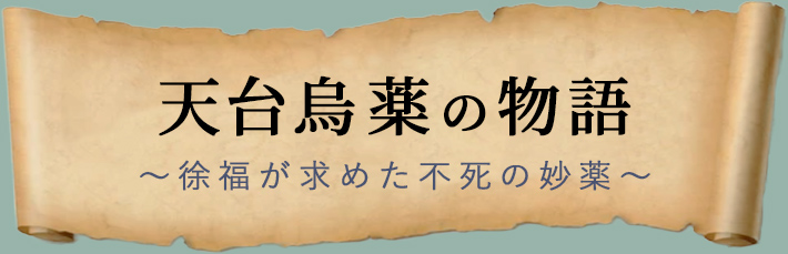 天台烏薬の物語〜徐福が求めた不死の妙薬〜