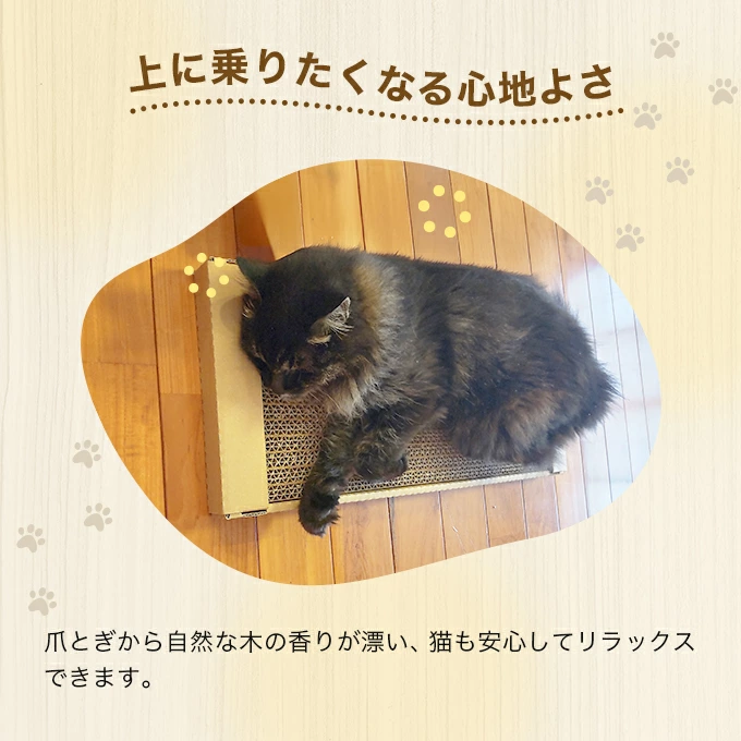 猫の爪とぎ 2個 2セット 猫 ネコ 爪とぎ 爪研ぎ ダンボール 段ボール