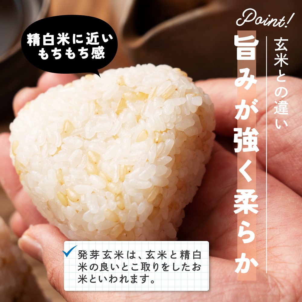 発芽玄米