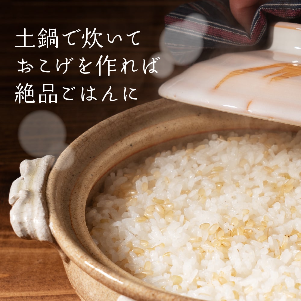 発芽玄米