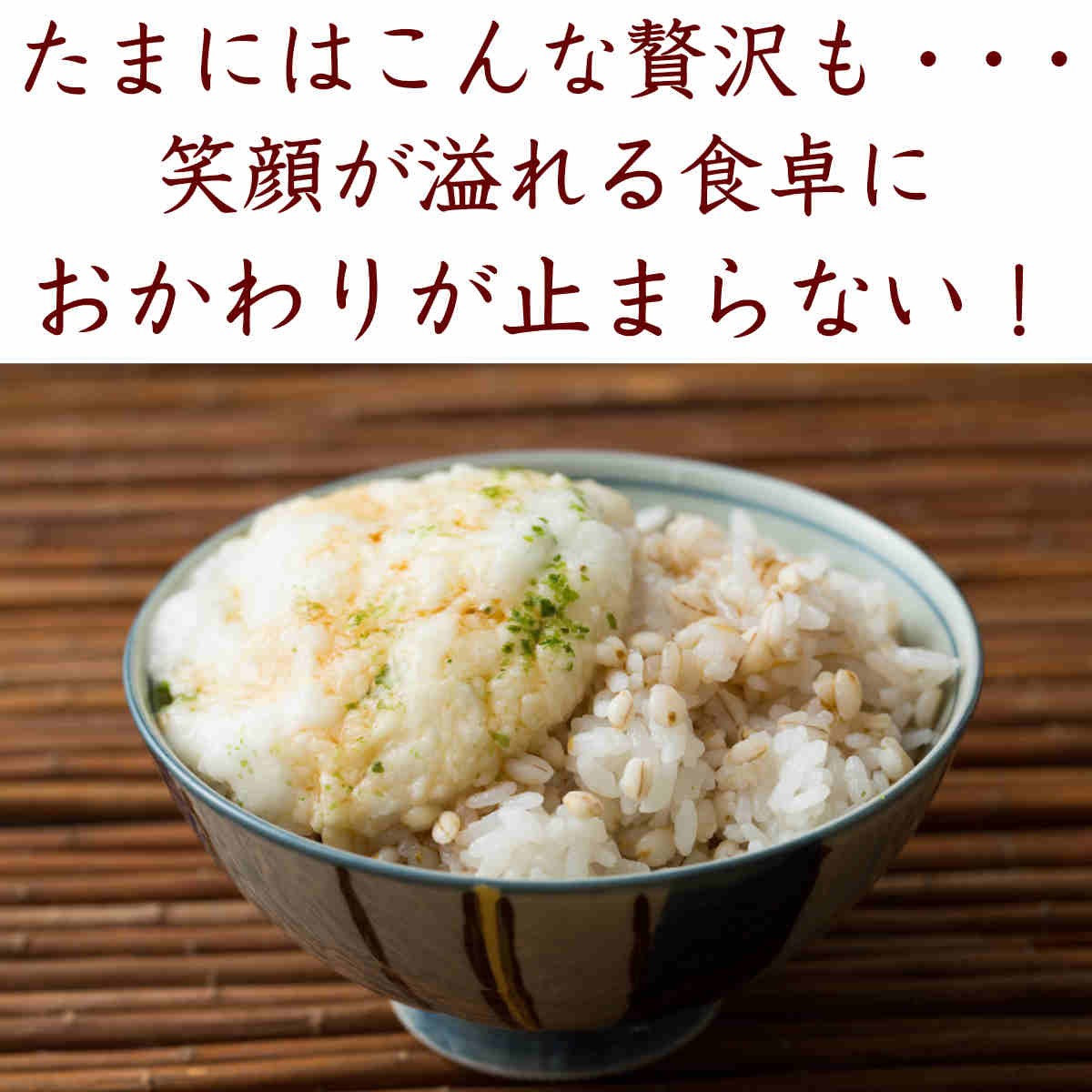 厳選もち麦とろろ飯