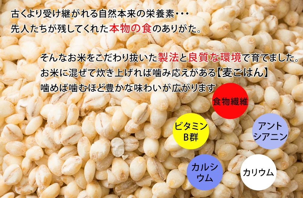 雑穀米本舗 雑穀 雑穀米 国産 はだか麦 900g(450g×2袋) 厳選