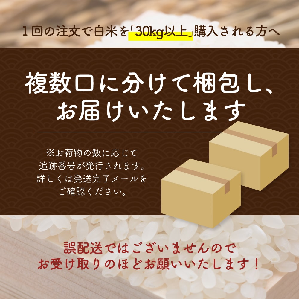 コシヒカリ 10kg(5kg×2袋) 丹波産 選べる 白米 無洗米 令和5年産 単一原料米｜katochanhonpo｜03