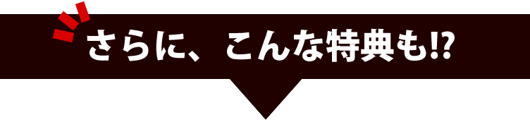 このセット限定のおまけ