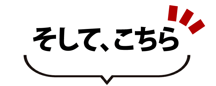 そして、こちら