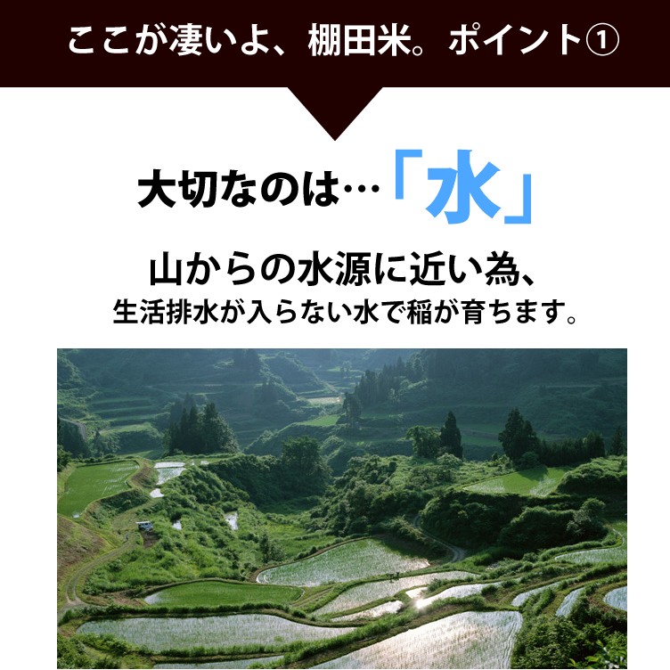 【まとめ買い割引】新米入荷 コシヒカリ 30kg 小国町産 棚田米 令和6年度産 新潟米 産地直送 特産品 名物商品 5kg×6袋