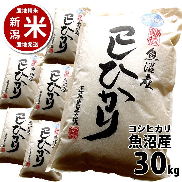 コシヒカリ 30kg 魚沼産 令和5年度産 新潟米 産地直送 特産品 5kg×6袋