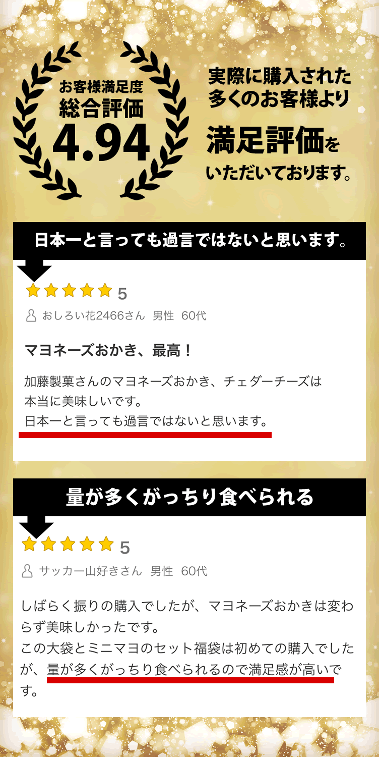 レビュー1