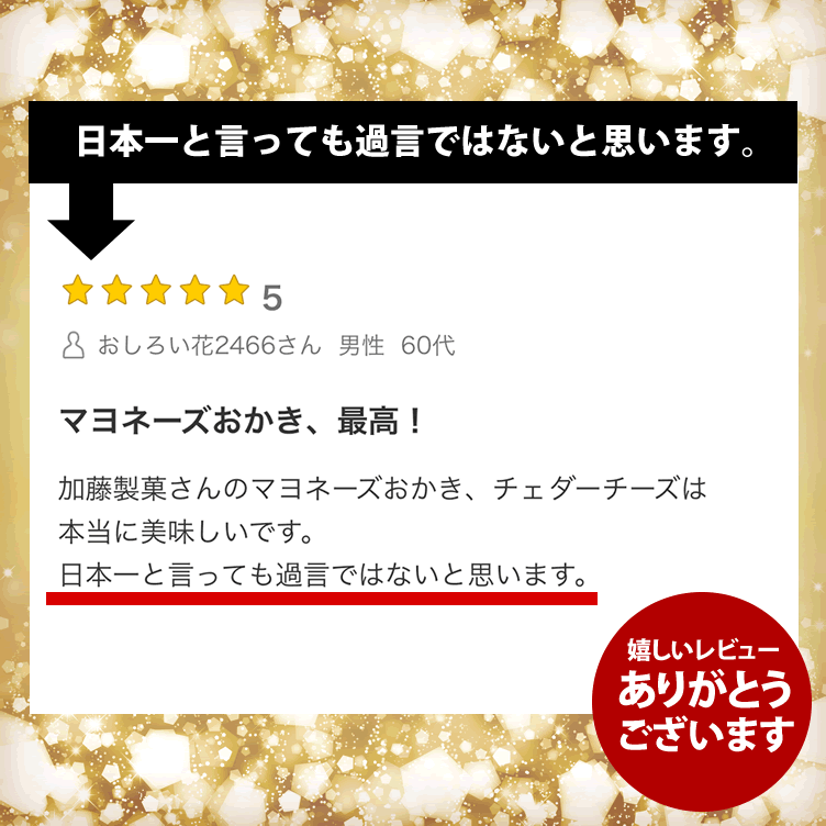 レビュー1