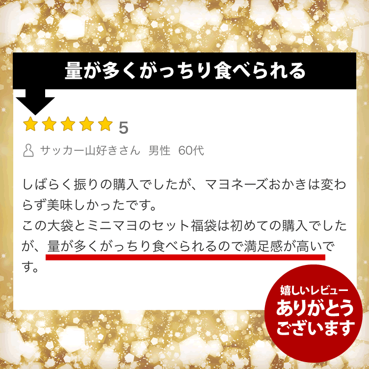 レビュー2