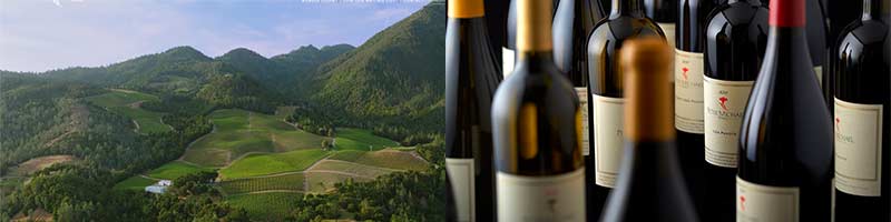 ピーター マイケル ピノ ノワール ル カプリス 2012 ピーターマイケル ピノノワール Peter Michael Pinot Noir Le Caprice アメリカ カリフォルニア 赤ワイン and ル the ピーター マイケル ノワール Noir ピノ Pinot Le Caprice アメリカ カリフォルニア 赤ワイン カプリスは マイケルPeter more is well The