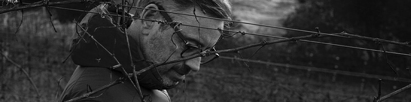 セリタス ピノ ノワール トラウト ガルチ ヴィンヤード 2019 生産者蔵出し ピノノワール Ceritas アメリカ カリフォルニア 赤ワイン ヴィンヤード セリタス トラウト ガルチ Trout Gulch is the ピノ ノワール アメリカ カリフォルニア Noir Pinot layers of all ヴィノス オキシデンタル