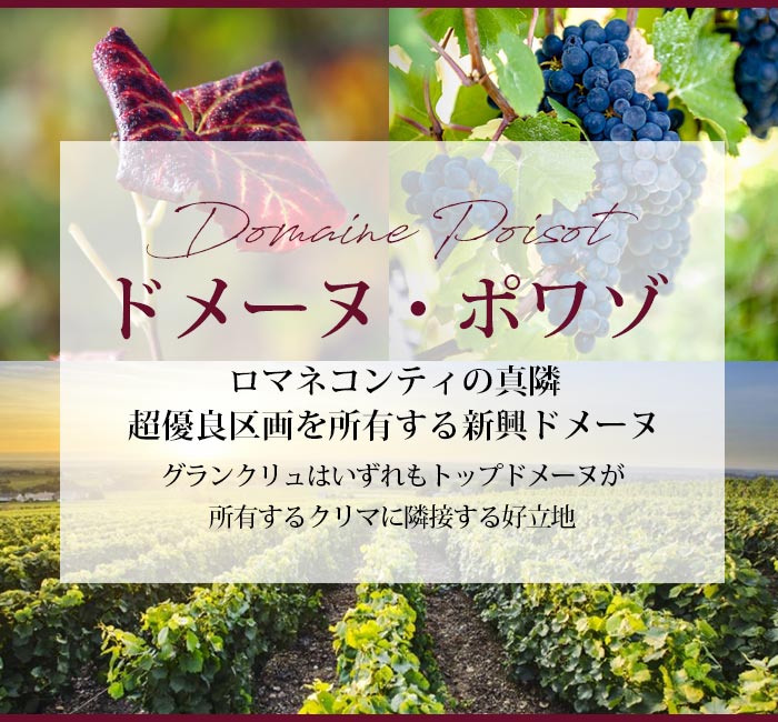 ドメーヌ ポワゾ コルトン ブレッサンド グラン クリュ 2018 Domaine Poisot Corton Bressandes フランス ブルゴーニュ 赤ワイン コルトン ポワゾ ドメーヌ グラン フランス ブルゴーニュ ポワゾDomaine サン ピノ