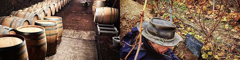 即購入可★ ジャック セロス エクスキューズ セック NV ジャックセロス Jacques Selosse Exquise フランス シャンパン シャンパーニュ 【OCQ1585457780】(56320円)