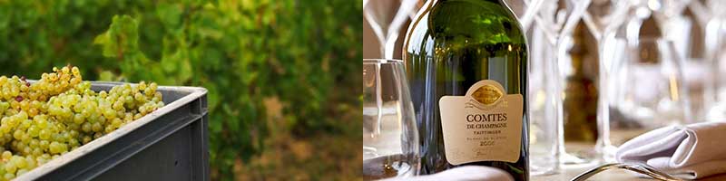 【クーポン】 テタンジェ コレクション 1981 Taittinger Collection フランス シャンパン シャンパーニュ 【GMS1238658130】(44000円)