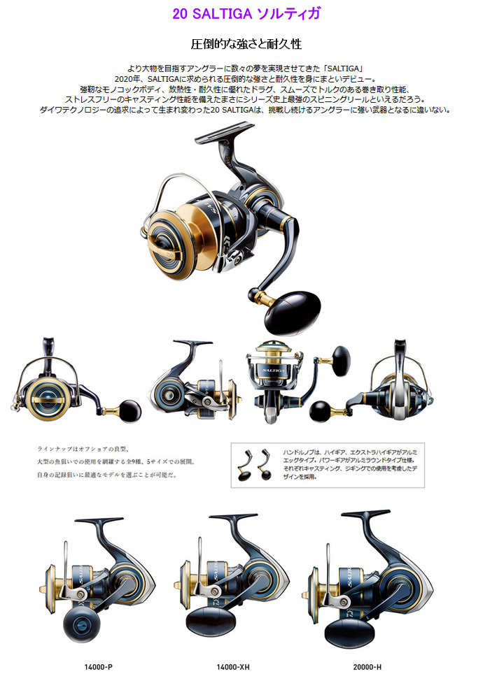 最安値級価格 store T.R.Yダイワ DAIWA スピニングリール 20