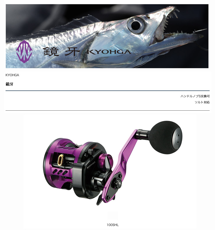 Daiwa 様限定 DAIWA（釣り） ダイワ 22 ジリオン TW HD 1000HL (左ハンドル