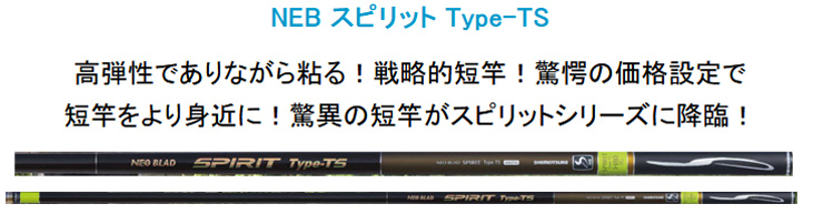 予約 鮎竿 NEB スピリット Type-TS H75TG 018201 シモツケ : カツキ