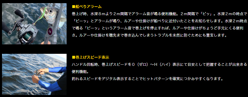 DAIWA（ダイワ） 20 TIERRA IC ティエラ IC 100XH 277327 : カツキ